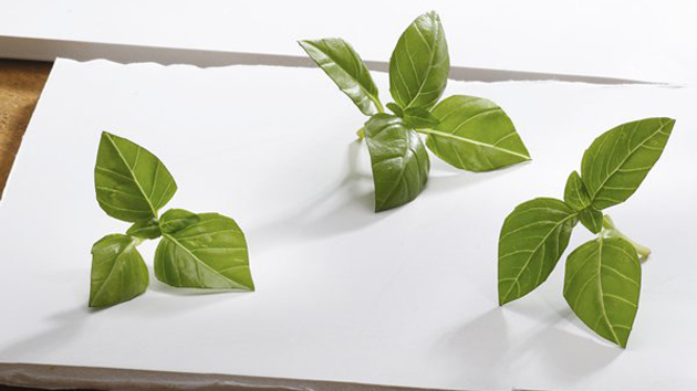 blog5_image