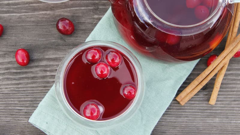 Hot Punch with Cranberries and Cinnamon_16x9